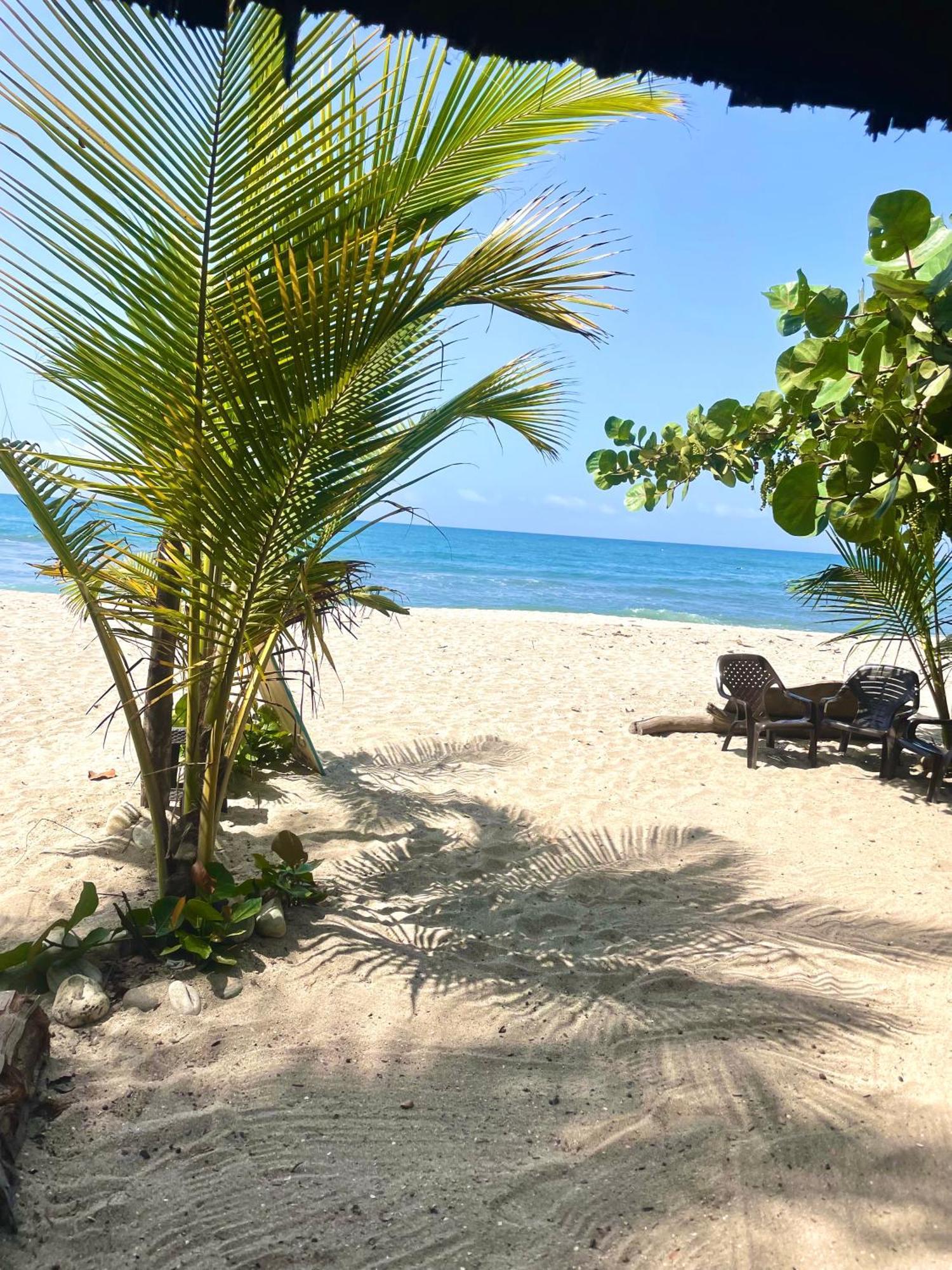 Chill And Surf Mendihuaca Hotel Guachaca Ngoại thất bức ảnh